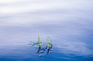 clear-water