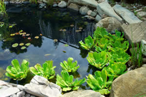 natural-stone