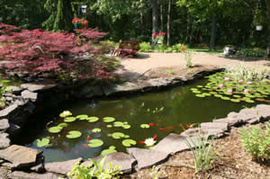 rect_pond