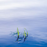 clear-water