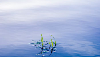 clear-water