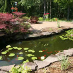 rect_pond